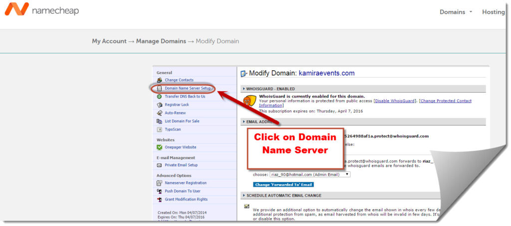 Click on domain name server setup