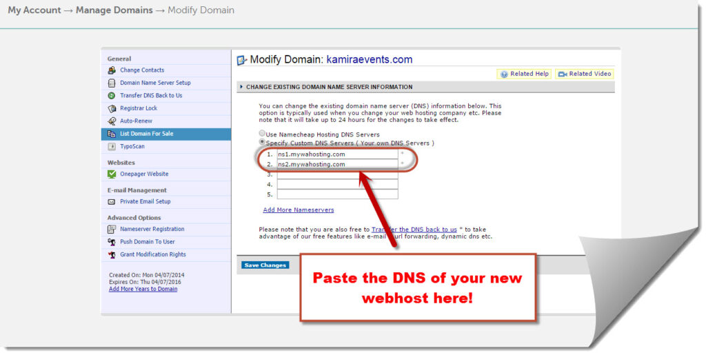 DNS pasting