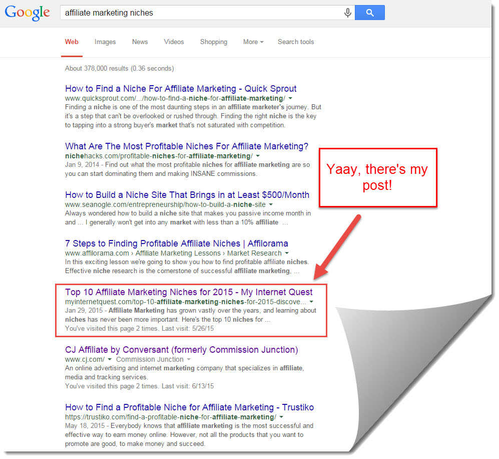 google search results for affiliate marketing niches