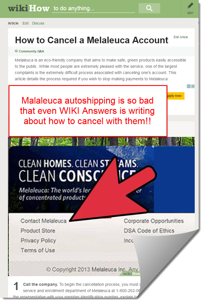 Malaleuca on wiki answers