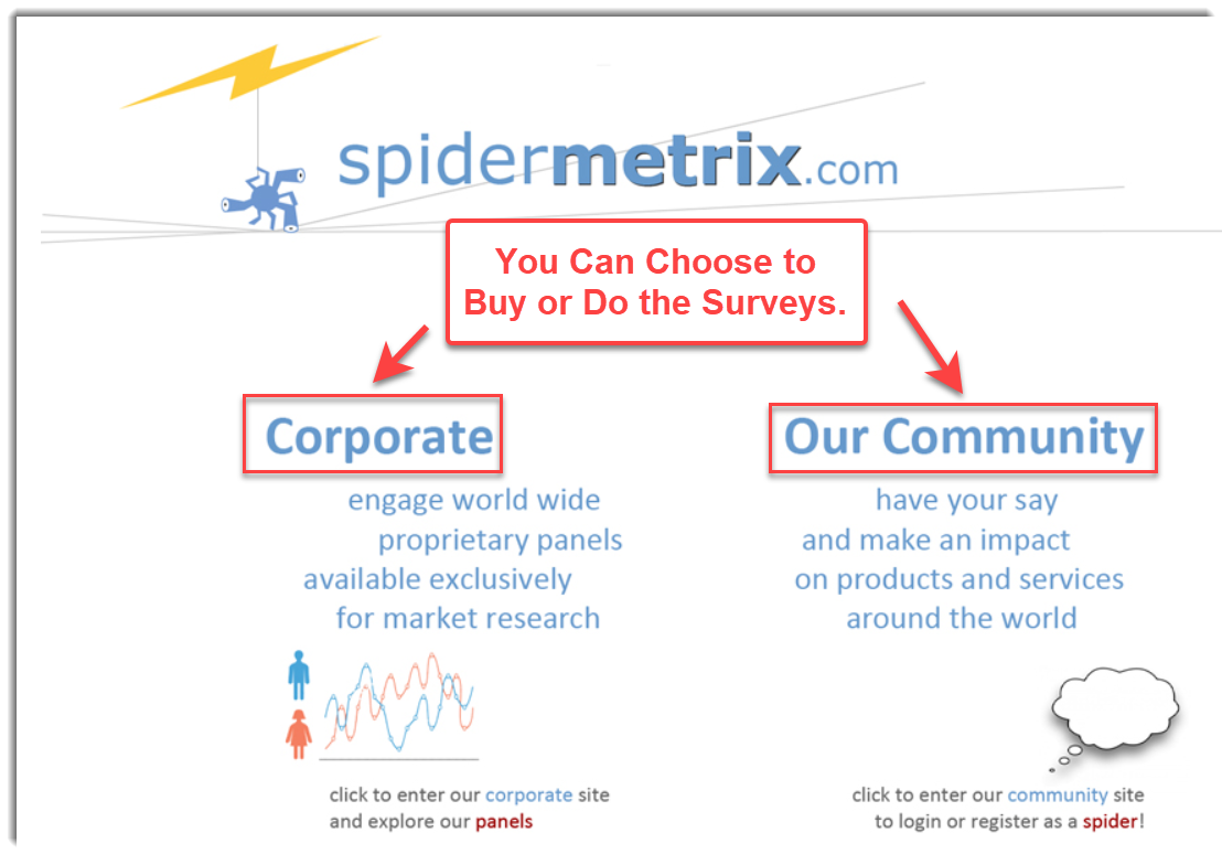 Do or buy survey research