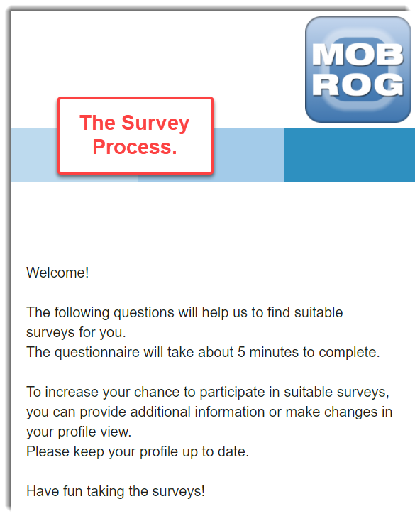 Survey Process Mobrog